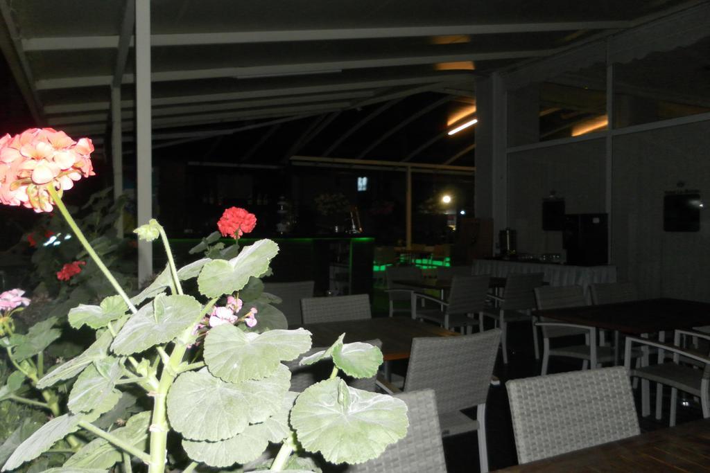 Hotel La Mosae Alanya Exterior photo